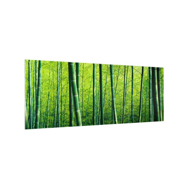painel anti salpicos cozinha Bamboo Forest