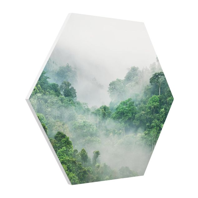 Quadros selva Jungle In The Fog