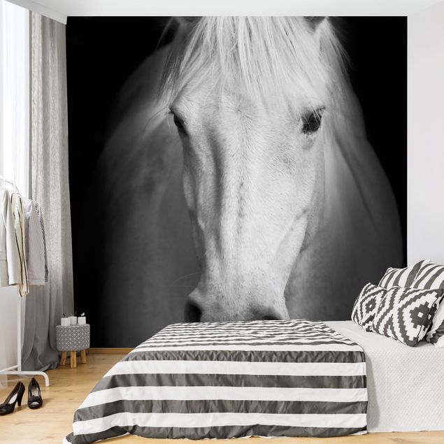 papel de parede para quarto de casal moderno Dream Of A Horse