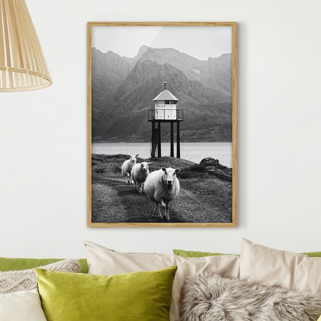 decoraçoes cozinha Three Sheep On the Lofoten
