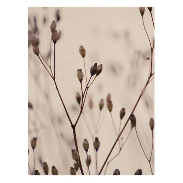 quadro com flores Dark Buds On Wild Flower Twig