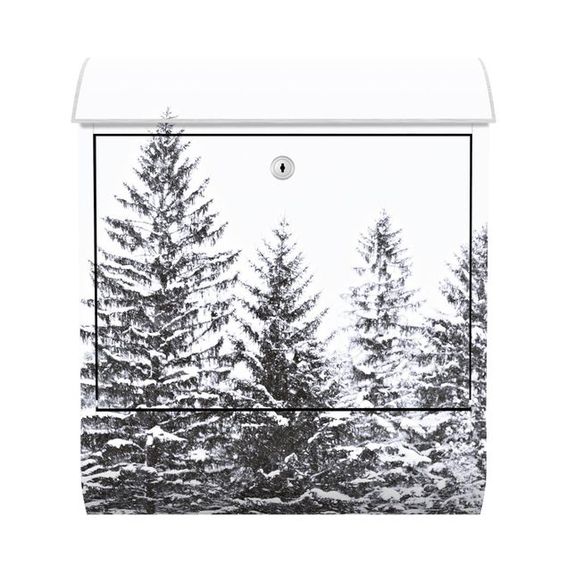 Caixas de correio em branco Dark Winter Landscape