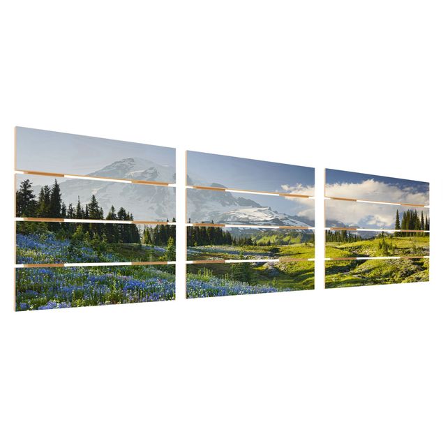 decoração quadros Mountain Meadow With Blue Flowers in Front of Mt. Rainier