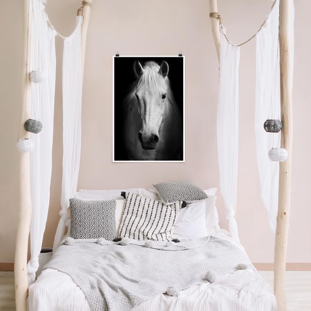 poster preto e branco Dream Of A Horse