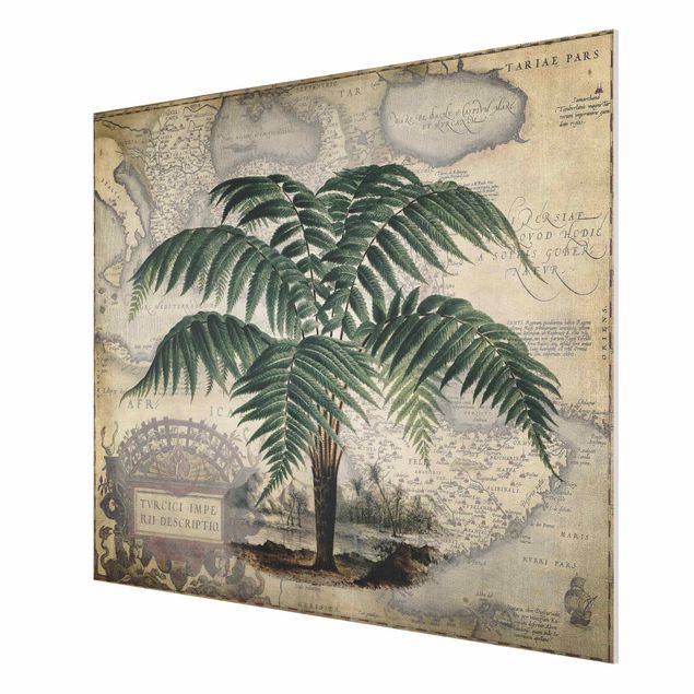 Quadros florais Vintage Collage - Palm And World Map