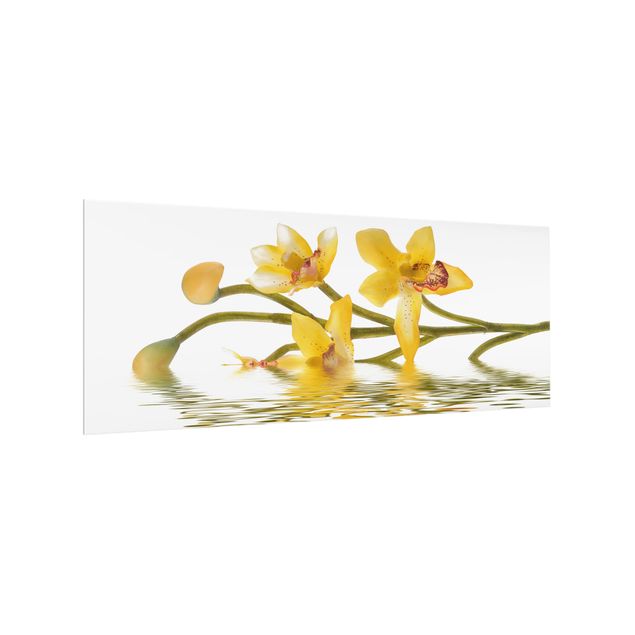 painel anti salpicos cozinha Saffron Orchid Waters