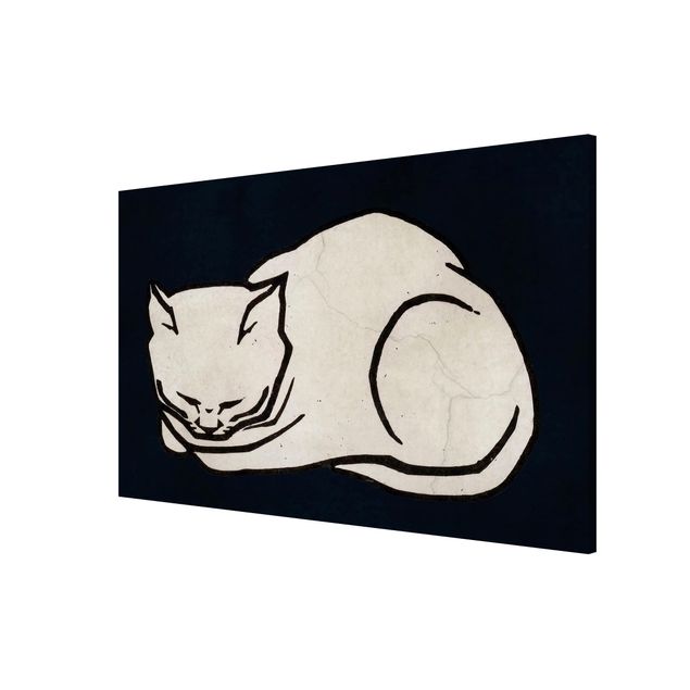 Quadros magnéticos animais Sleeping Cat Illustration