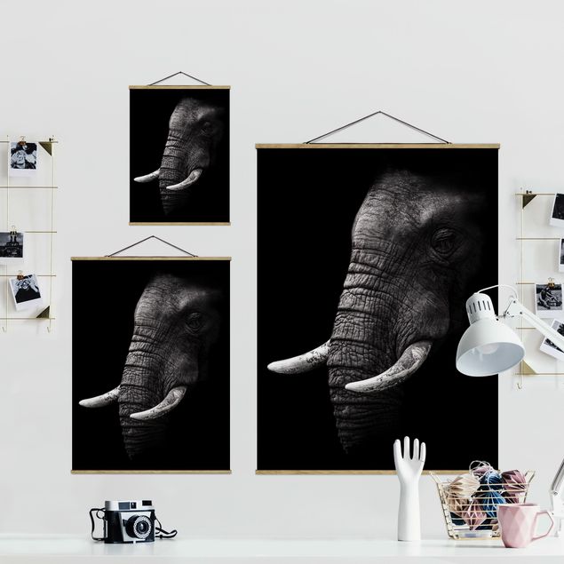 Quadros modernos Dark Elephant Portrait