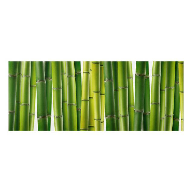 Painel anti-salpicos de cozinha Bamboo Plants