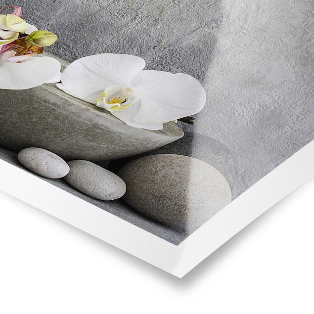 Quadros em cinza Zen Buddha With White Orchids