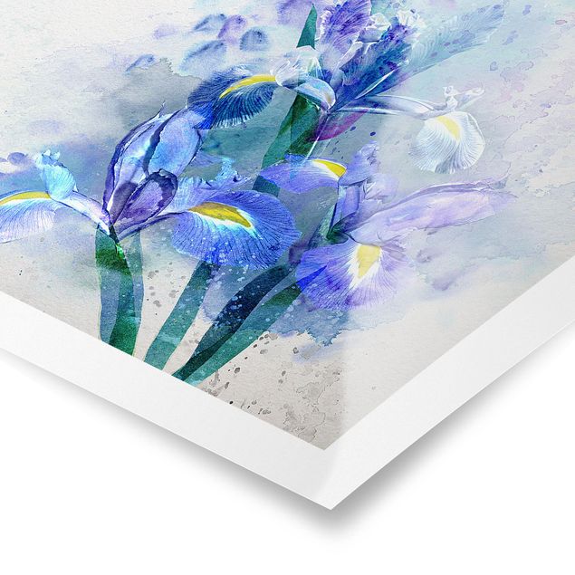 quadro em tons de azul Watercolour Flowers Iris