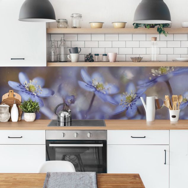 Backsplash de cozinha flores Anemone In Blue