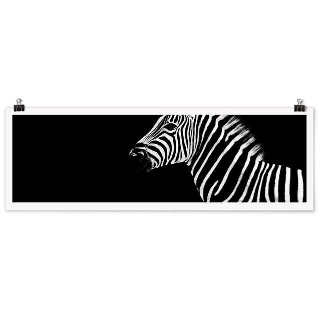 Posters animais Zebra Safari Art