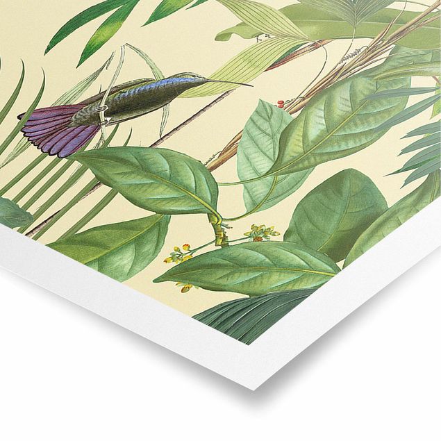 Posters quadros famosos Vintage Collage - Birds In The Jungle