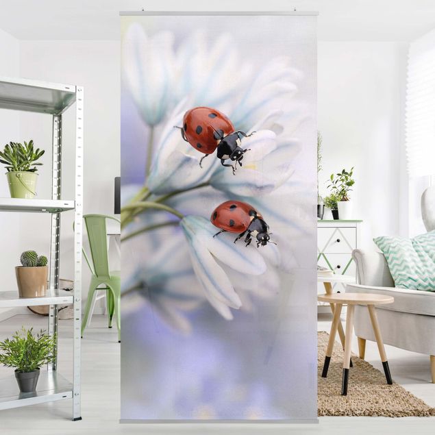 decoraçao para parede de cozinha Ladybird Couple