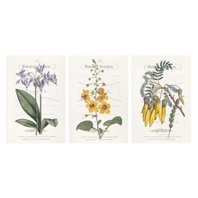 decoração quadros Botanical Tableau Set I