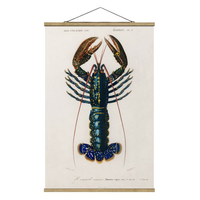 quadro animais quarto bebé Vintage Board Blue Lobster