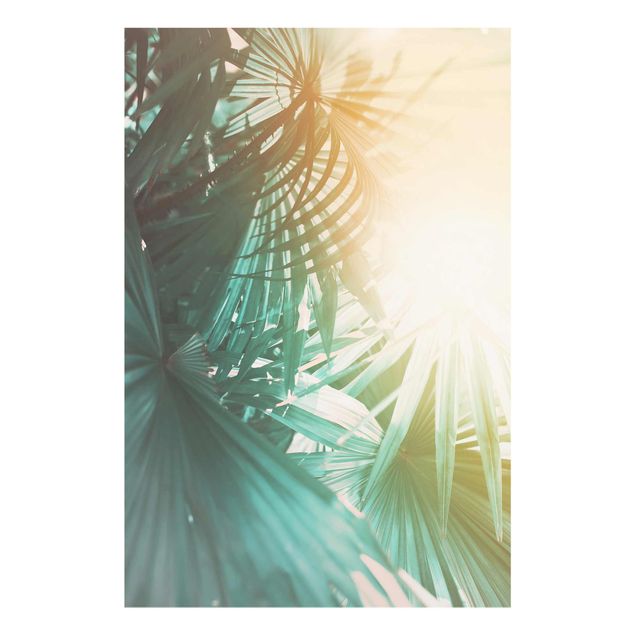 Quadros florais Tropical Plants Palm Trees At Sunset