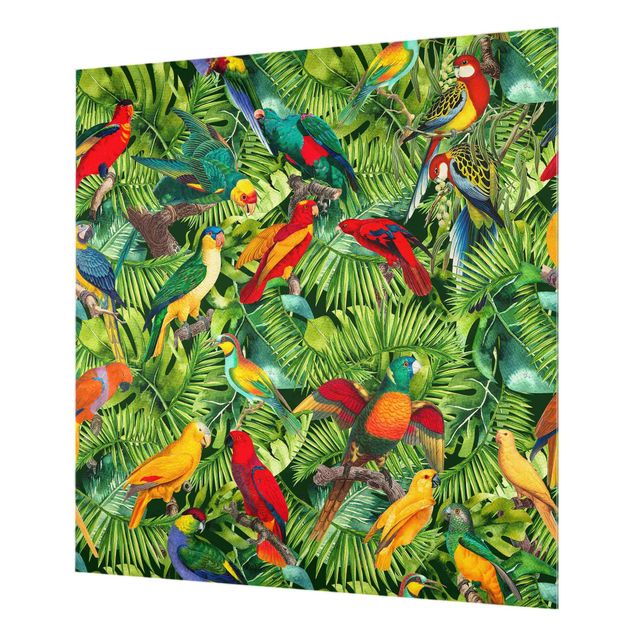 Painel anti-salpicos de cozinha Colourful Collage - Parrots In The Jungle