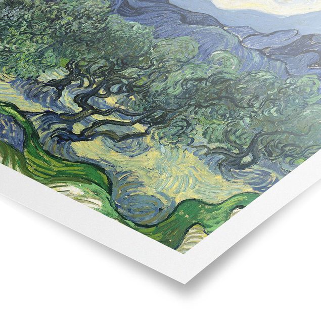 Quadros por movimento artístico Vincent Van Gogh - Olive Trees