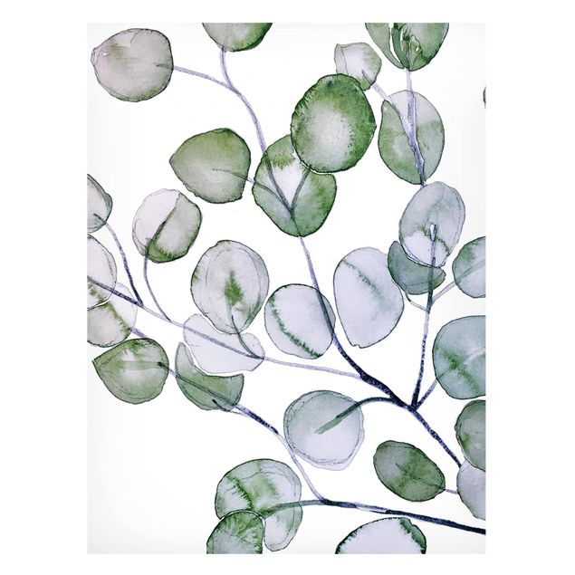 Quadros magnéticos flores Green Watercolour Eucalyptus Branch