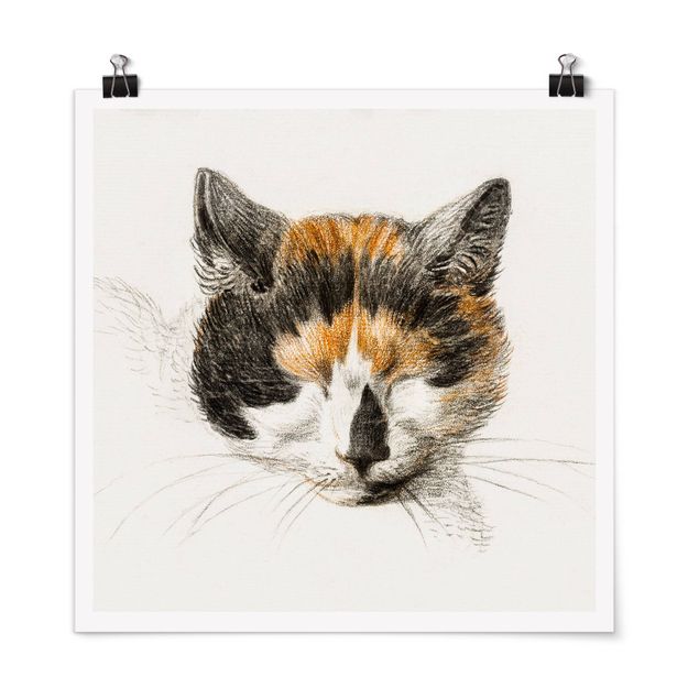 Posters animais Vintage Drawing Cat IV
