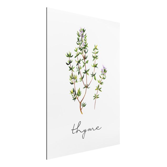 decoraçoes cozinha Herbs Illustration Thyme