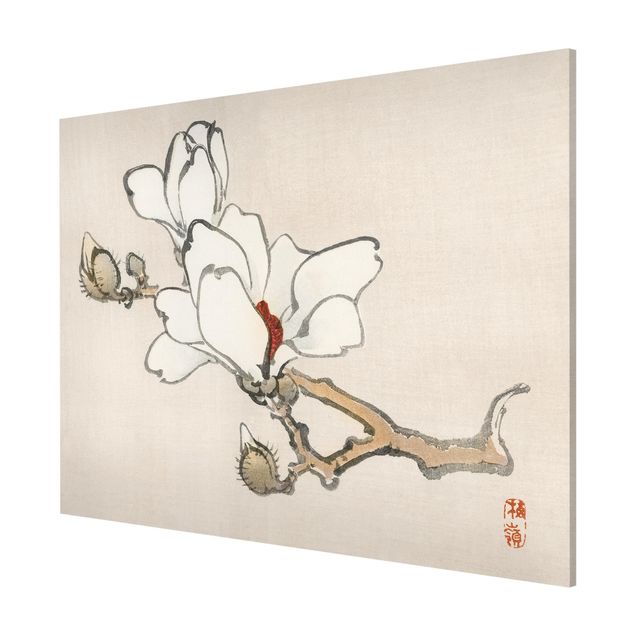 Quadros florais Asian Vintage Drawing White Magnolia