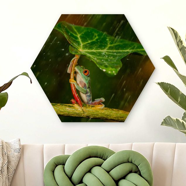 decoraçoes cozinha Frog In The Rain