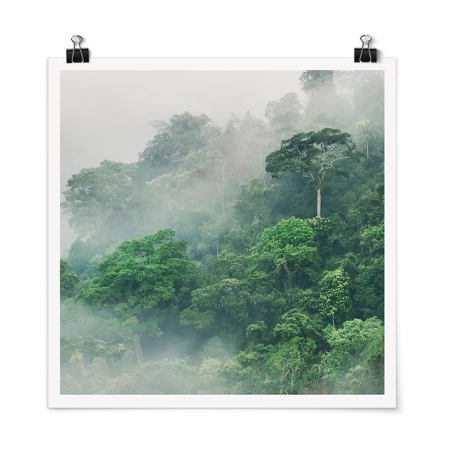 Quadros paisagens Jungle In The Fog