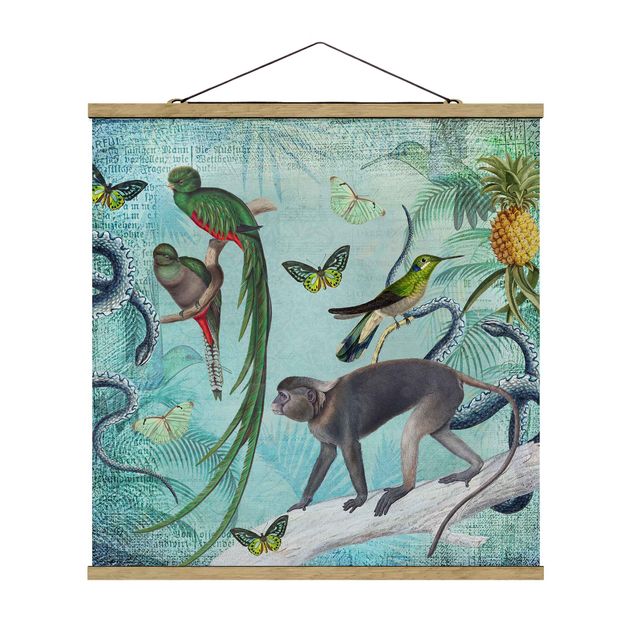quadros flores Colonial Style Collage - Monkeys And Birds Of Paradise