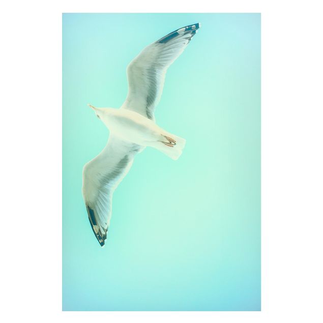 Quadros magnéticos animais Blue Sky With Seagull