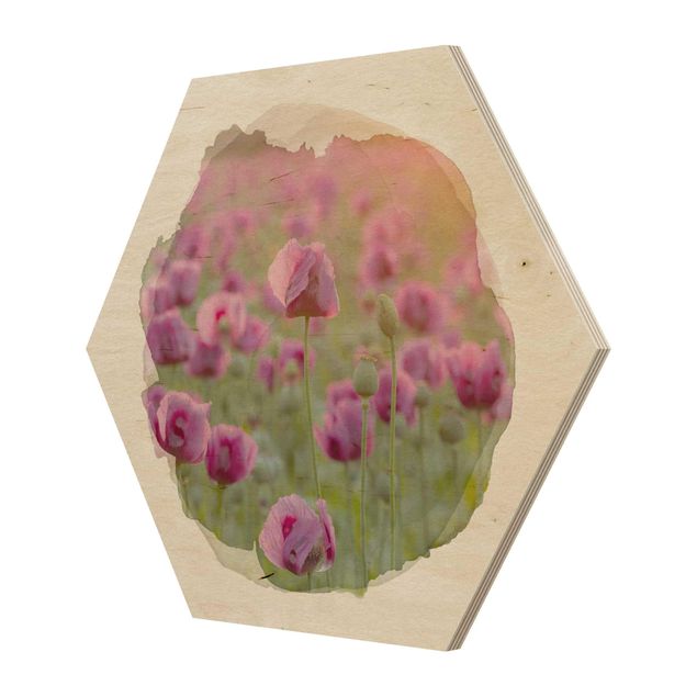 Quadros hexagonais WaterColours - Violet Poppy Flowers Meadow In Spring