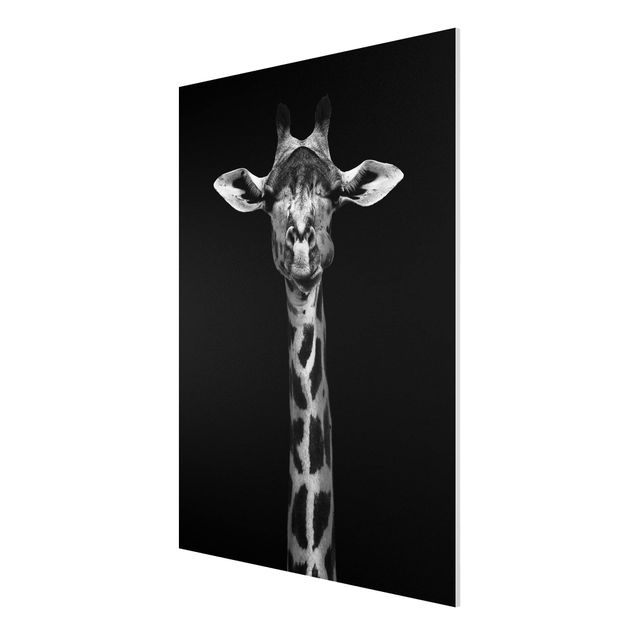 Quadros África Dark Giraffe Portrait