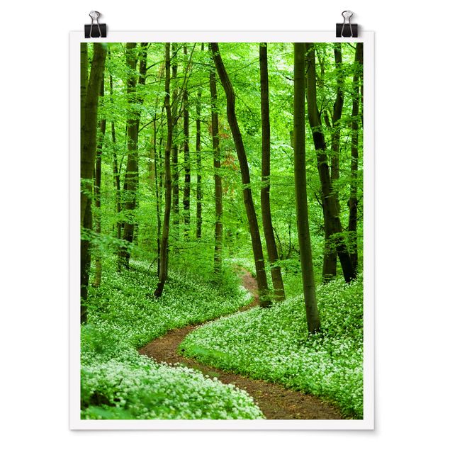 Posters paisagens Romantic Forest Track