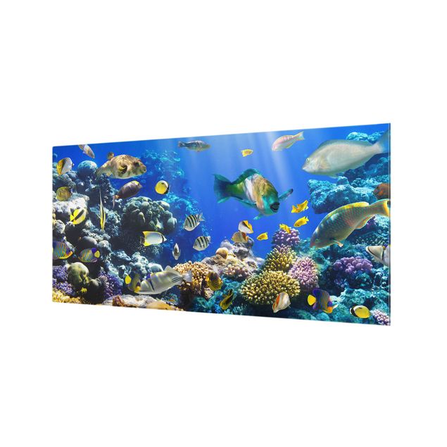 Painel anti-salpicos de cozinha Underwater Reef