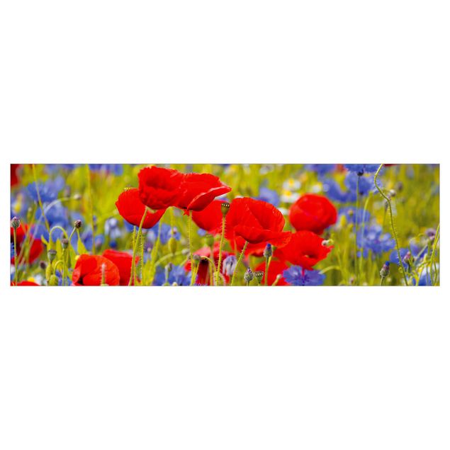 revestimento parede cozinha Summer Meadow With Poppies And Cornflowers