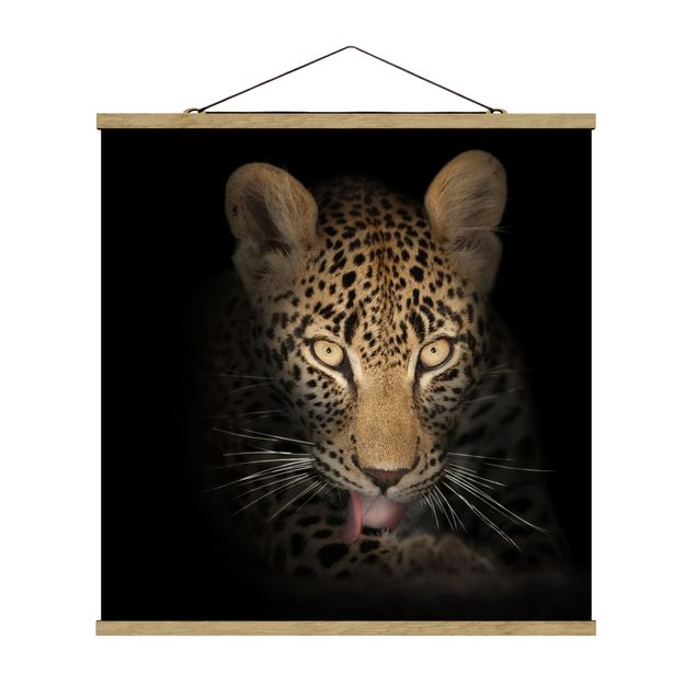 quadros modernos para quarto de casal Resting Leopard