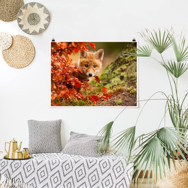quadro com árvore Fox In Autumn