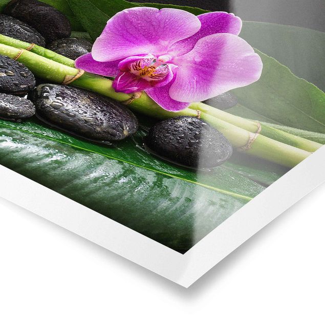 Quadros florais Green Bamboo With Orchid Flower