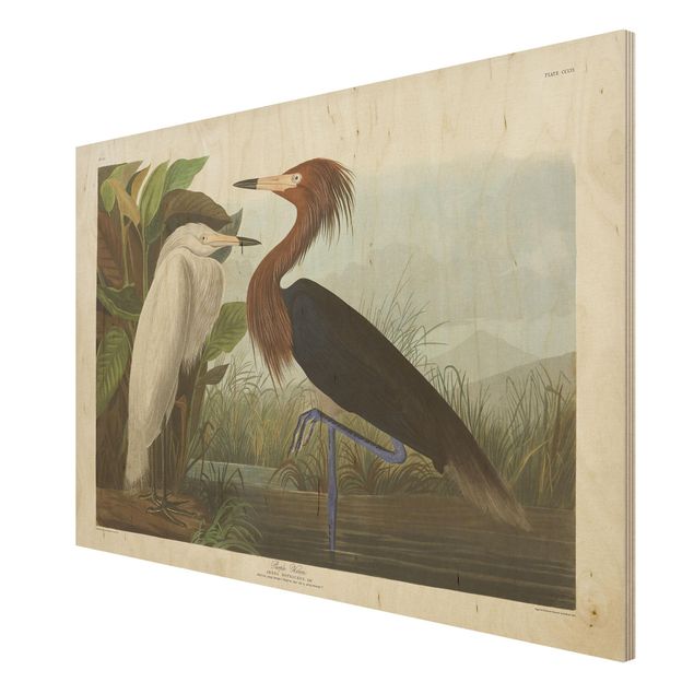 decoração quadros Vintage Board Purple Heron