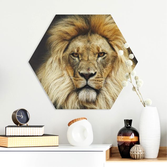 decoraçao cozinha Wisdom Of Lion
