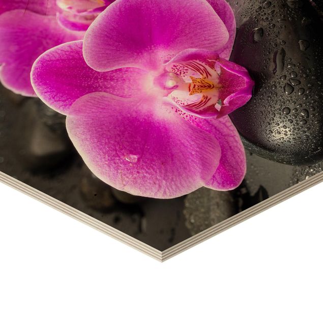 quadro de madeira para parede Pink Orchid Flowers On Stones With Drops