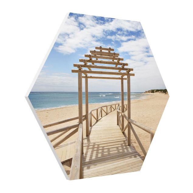 quadro decorativo mar Beach Path To The Sea In Andalusia