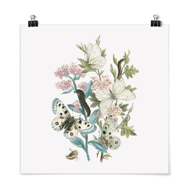 Posters flores British Butterflies I