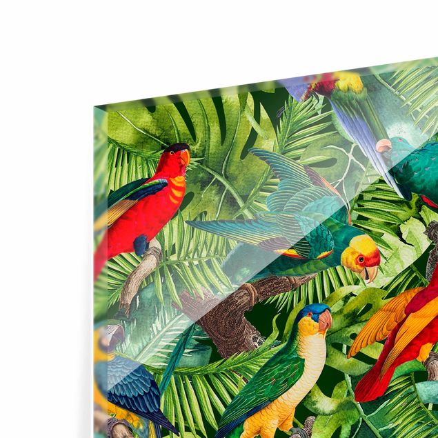 Painel anti-salpicos de cozinha Colourful Collage - Parrots In The Jungle