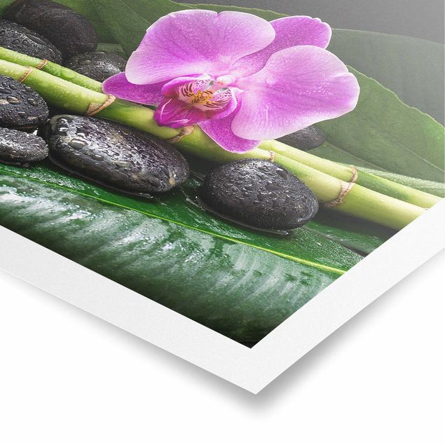 Posters flores Green Bamboo With Orchid Flower