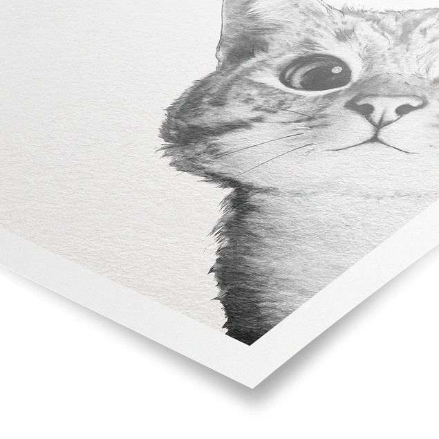 Posters quadros famosos Illustration Cat Drawing Black And White