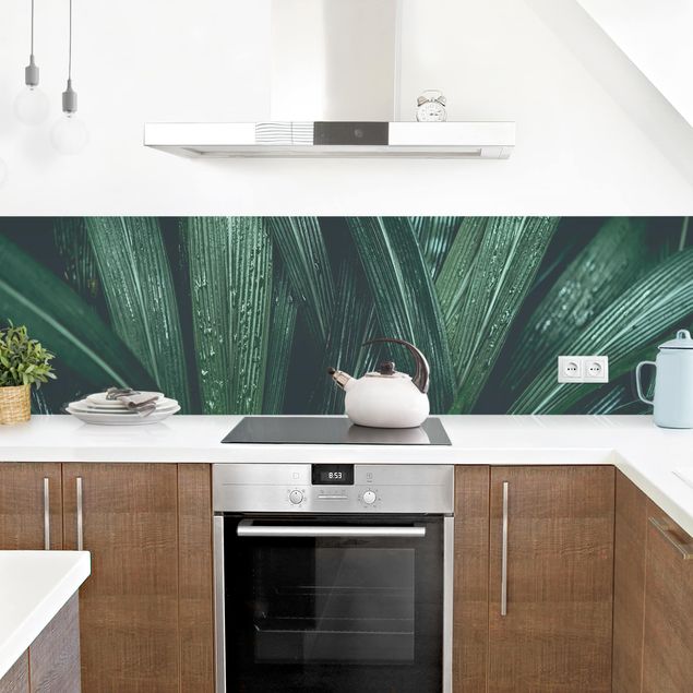 Painel antisalpicos Green Palm Leaves