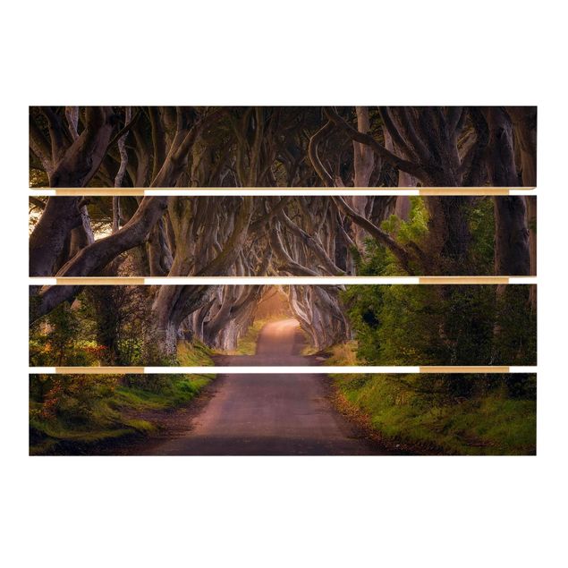 quadro de madeira para parede Tunnel Of Trees